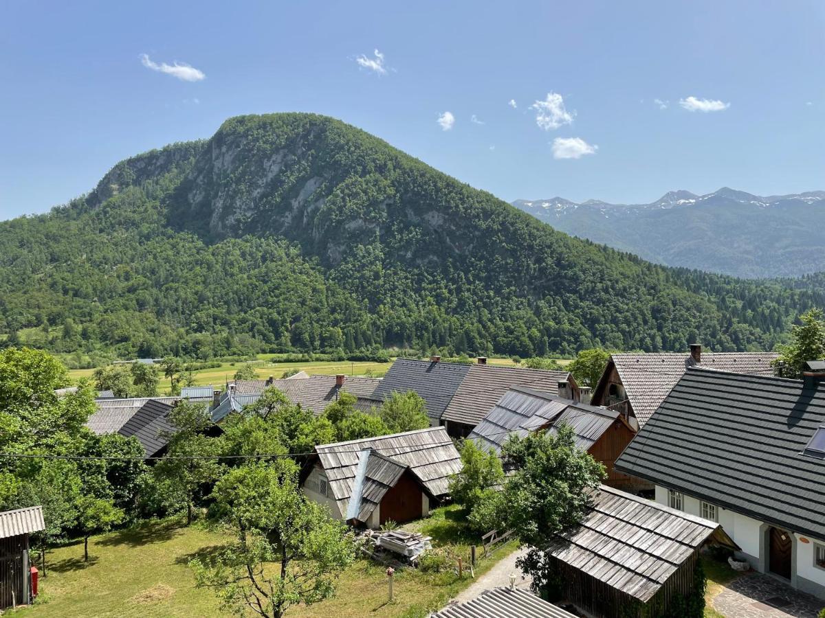 Apartment Apartma-buovc